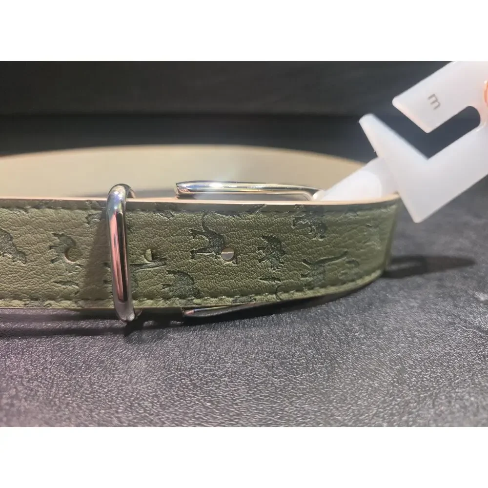 Wonder Nation Dinosaur Belt Green Embossed Dino T-Rex Silver Buckle Size M NWT